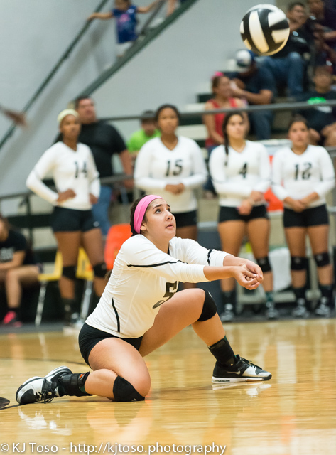 Southwest's Aashlyn Sulaica demonstrates the proper form while making one of her 13 digs.