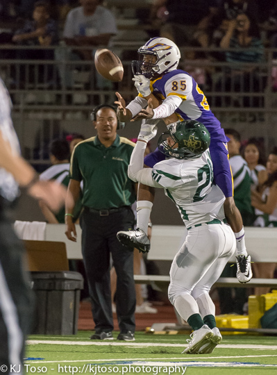 Brackenridge receiver Jordan Beasley (85) makes a leaping catch over a McCollum defender.